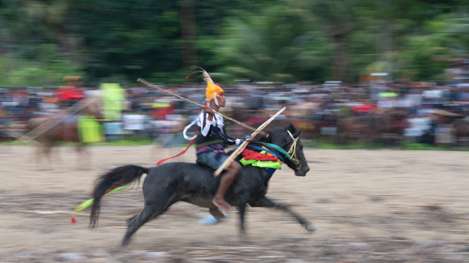 David Metcalf photography