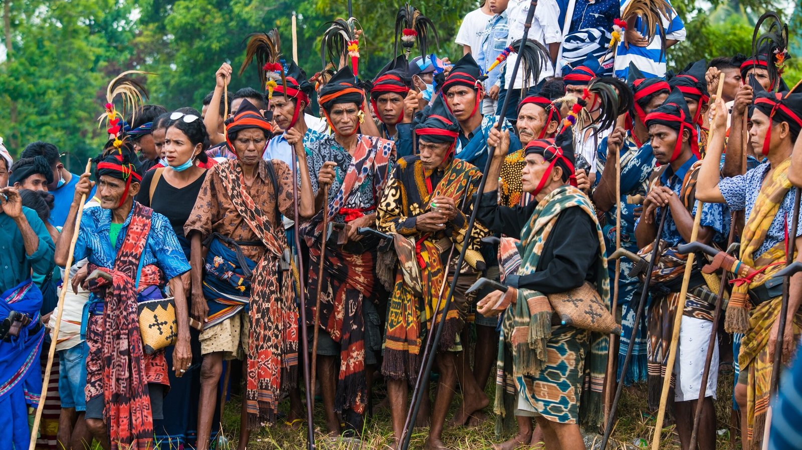 David Metcalf photography