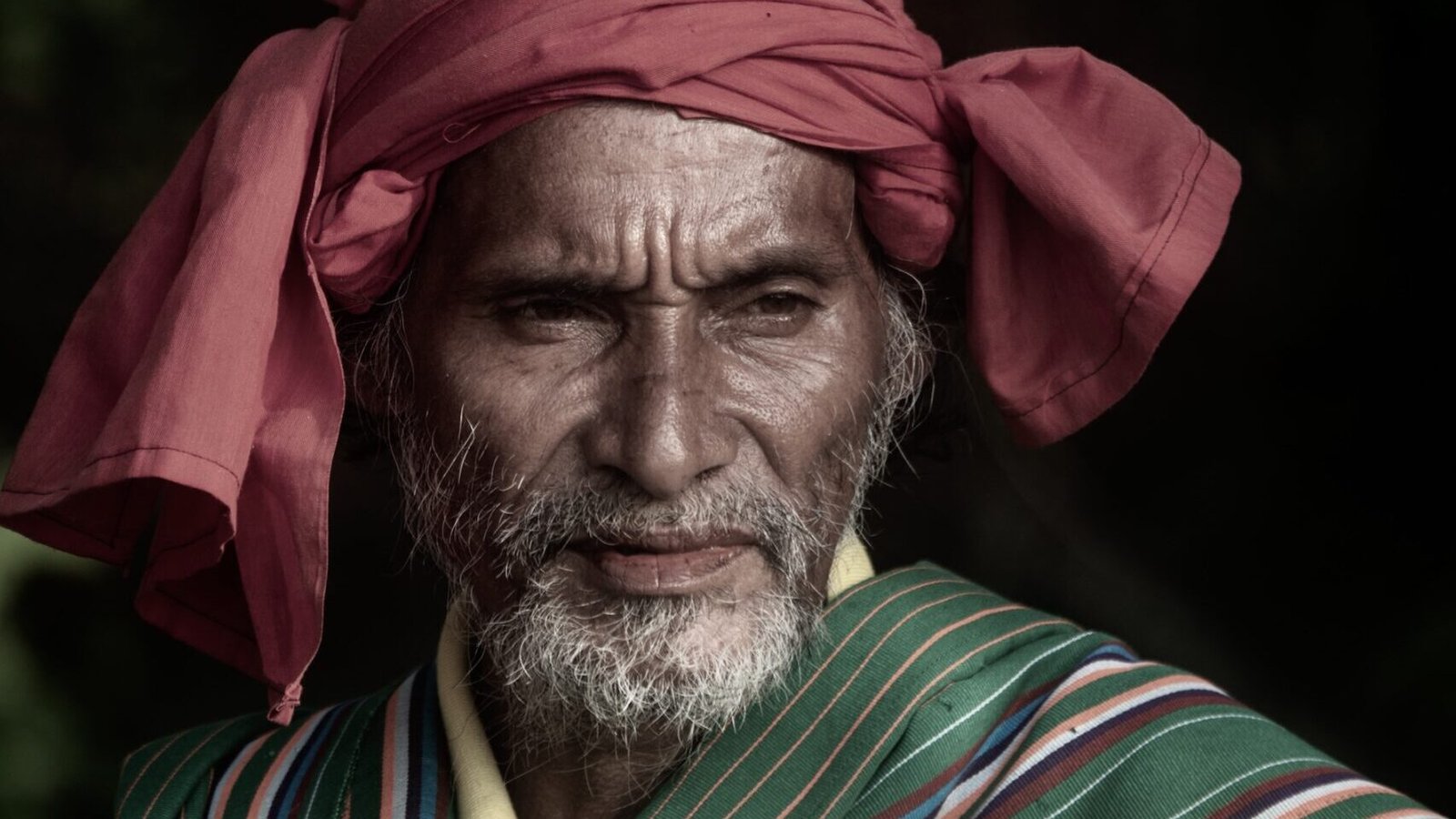 David Metcalf photography