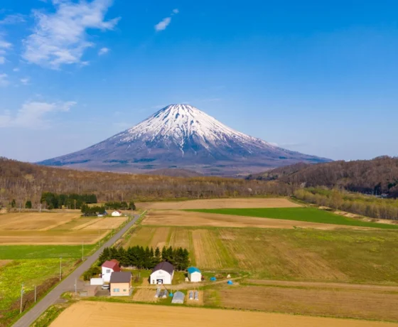 DJI_20240430062102_0027_D