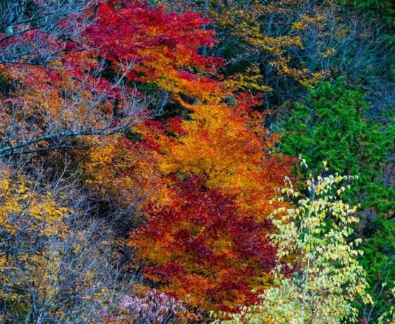 WhatsApp Image 2026-02-03 at 8.41.40 PM