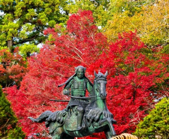 WhatsApp Image 2026-02-03 at 8.41.41 PM (1)