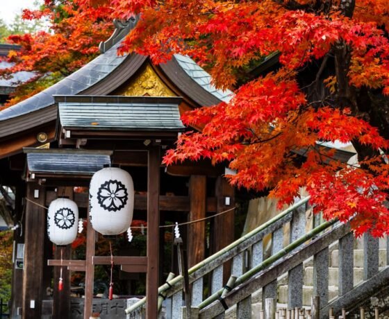 WhatsApp Image 2026-02-03 at 8.41.41 PM (2)