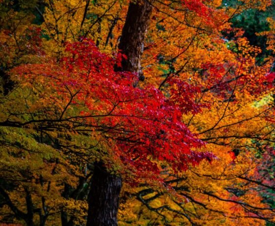 WhatsApp Image 2026-02-03 at 8.41.41 PM