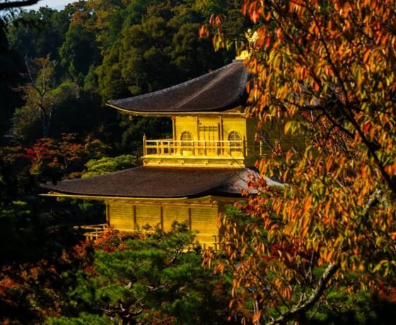 WhatsApp Image 2026-02-03 at 8.41.42 PM (1)