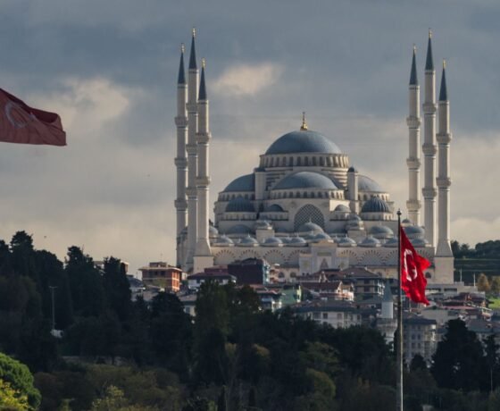 WhatsApp Image 2026-02-18 at 19.17.40 (1)