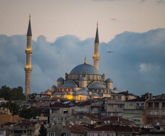 WhatsApp Image 2026-02-18 at 19.17.40 (2)