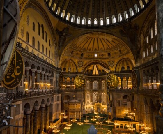 WhatsApp Image 2026-02-18 at 19.17.40 (3)