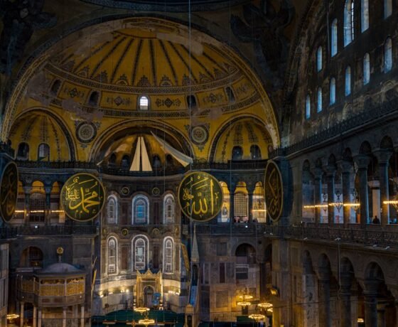 WhatsApp Image 2026-02-18 at 19.17.41