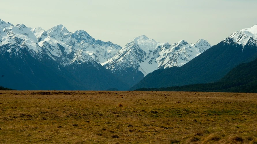 Road to Milford Sound (1)